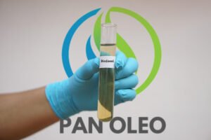 Fueling a Sustainable Future: Pan Oleo Energy’s Blueprint for Next-Gen Sustainable Fuels