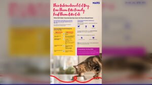 New Data Debunks Cat Food Myths with Veterinary Support on International Cat Day